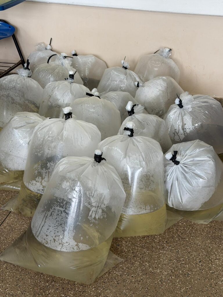 SEPA manaquiri ascom 2