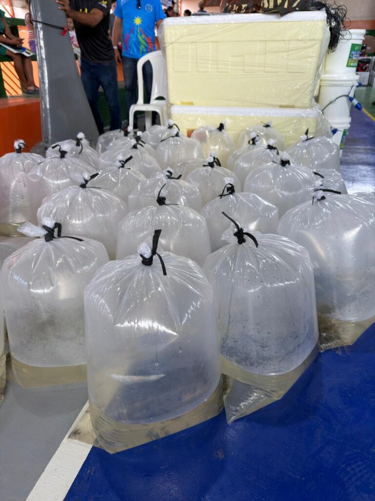 SEPA RioPreto Ascom 3