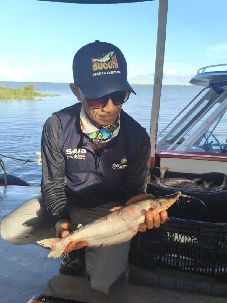 SEPA mapara Ascom 5 e1773749640643