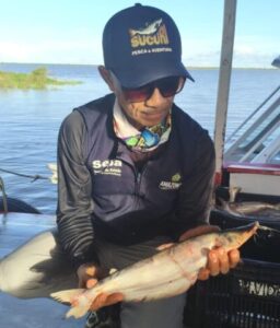 Imagem da notícia - Pesca do mapará 2026 conta com acompanhamento técnico da Sepa no Careiro da Várzea