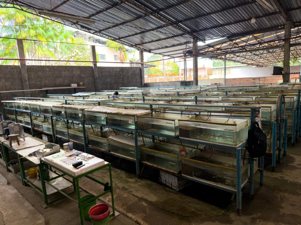 Visita tecnica CPG 3
