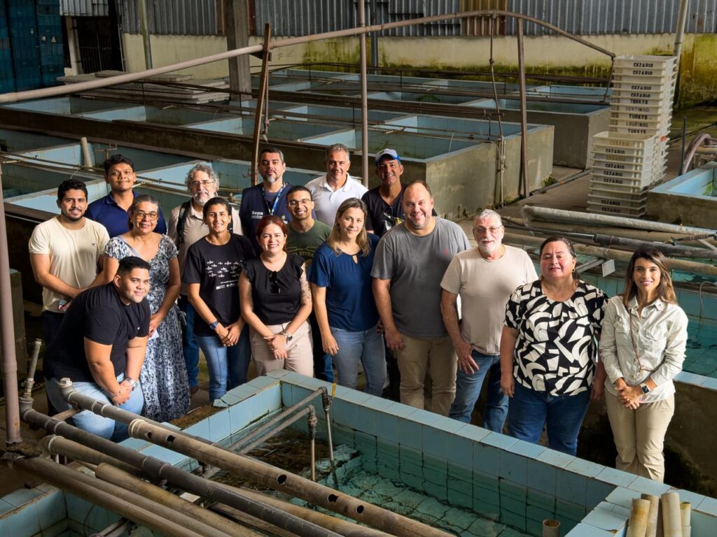 Visita tecnica CPG 4